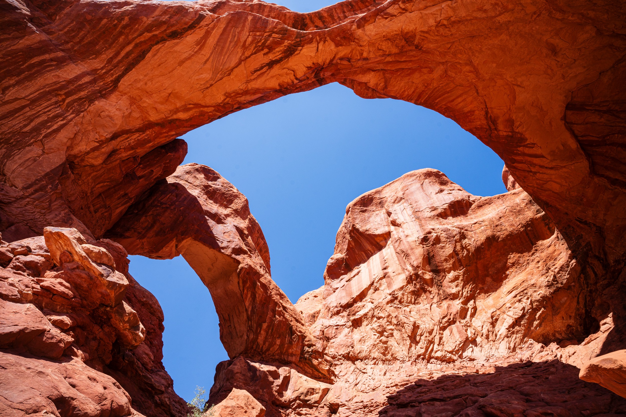 USA 2024 5 Sterne 122